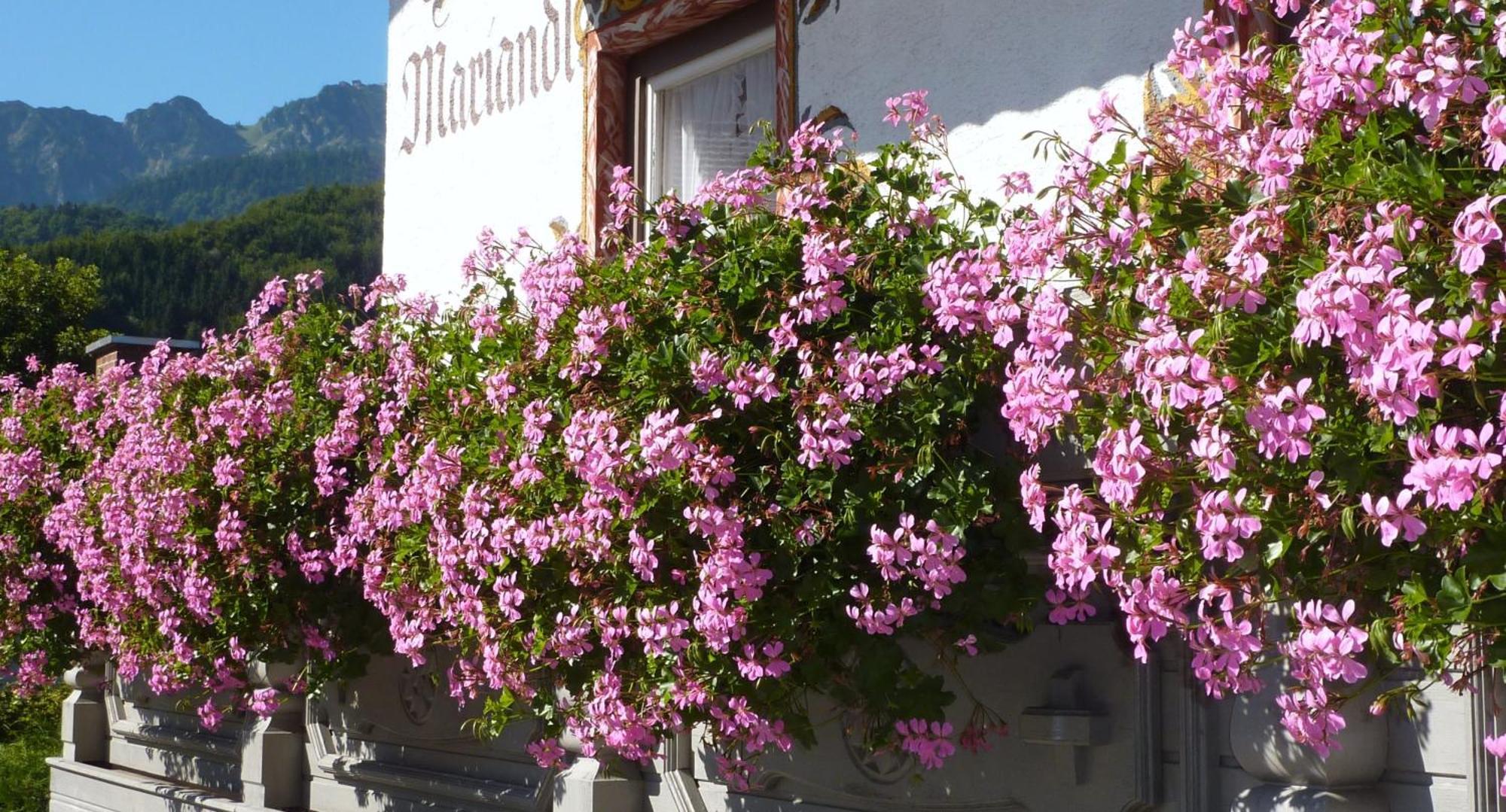 Hotel Mariandl Bergen  Exterior photo